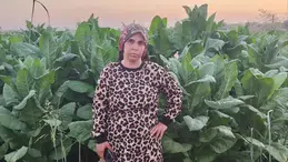 Tarlada çalışırken fenalaşan 3 çocuk annesi hayatını kaybetti