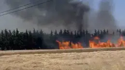Silivri'de elektrik direği kesimi sırasında yangın çıktı