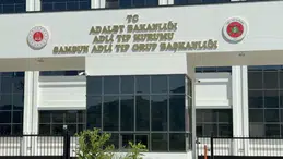 Samsun'da ağaçtan düşen yaşlı adam yaşamını yitirdi