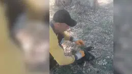 Mersin'de ağzı bağlı poşet içinde çöpe atmışlar! Böyle vicdansızlık olmaz olsun