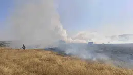 Eskişehir'de arazi yangını: Kontrol altına alındı