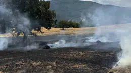 Bolu’da tarlada yangın çıktı: Yangınla ilgili inceleme başlatıldı