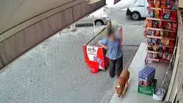İzmir’de pitbull saldırısı: İşaret parmağı koptu