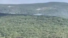 Balıkesir’de orman yangını çıktı: Ekipler seferber oldu