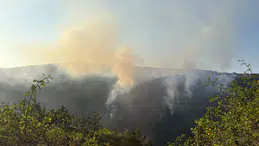 Kastamonu'da orman yangını kontrol altına alındı