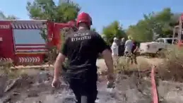 Düzce'de anız yangını: Ormana sıçramadan söndürüldü