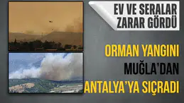 Muğla'dan Antalya'ya sıçrayan orman yangınında son durum! Ekipler seferber oldu