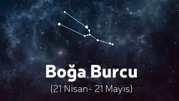 13 Eylül Boğa burcu yorumu: Pazar günü Aşk ve para hayatında neler bekliyor?