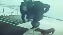 Köpeğe tekme attığı iddia edilen kaymakam hakkında soruşturma başlatıldı