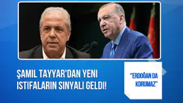 Şamil Tayyar'dan Ekonomi Yönetimine Sert Mesaj! Yeni İstifaları İşaret Etti: Erdoğan da Korumaz