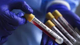 Afrika'da ebola salgını: Sağlık Bakanları olağanüstü toplanıyor