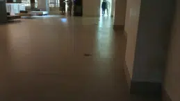 Adana'da kızını öldürmeye çalışan baba özel harekât operasyonuyla yakalandı