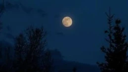 2026 Şubat Dolunayı Ne Zaman? Hangi Gün ve Saatte Gerçekleşecek? İşte Tüm Astrolojik Etkiler