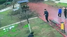 Adana’da kuş yuvasına zarar iddiası: 4 çocuk gözaltına alındı