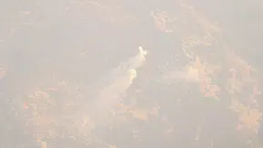 İsrail’in Lübnan’a yönelik saldırılarında fosfor mühimmatı iddiası gündeme geldi