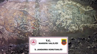 Mardin’de 1500 yıllık mozaik ele geçirildi