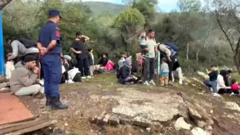 Batı Şeria’da zeytin toplayan Filistinli çiftçiye saldırı