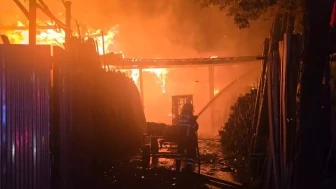 Şanlıurfa'da marangoz atölyesinde yangın çıktı: 10 Güvercin kurtarıldı