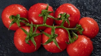 Uzmanlardan uyarı: Kışın domates tüketmek çevreye ciddi zarar veriyor