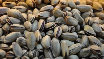 Resmi Gazete’de yayımlandı! Antep fıstığı için yeni ürün senedi düzenlemesi