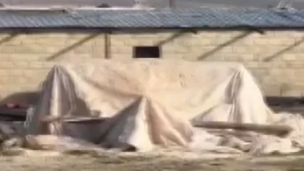 Şanlıurfa’da ahırda öyle bir şey bulundu ki.. Kimse tahmin edemezdi