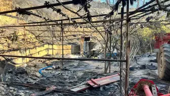 Tarım ve Orman Bakanlığı'ndan yangın açıklaması: "Mücadelemiz sürüyor"