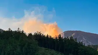 Adana orman yangını: Havadan ve karadan müdahale ediliyor