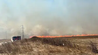 Tekirdağ'da anız yangını: 4 çiftlik evi kül oldu