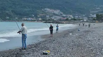 Karadeniz'de balık bolluğu yaşanıyor: Oltasını kapan sahile koştu