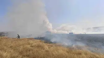 Eskişehir'de arazi yangını: Kontrol altına alındı