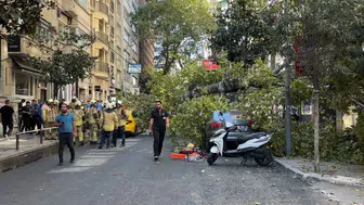 Nişantaşı’nda çınar ağacı iki aracın üzerine düştü