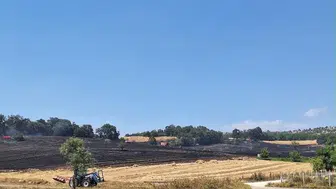 Bilecik'te arazi yangını: 80 dönüm alan zarar gördü