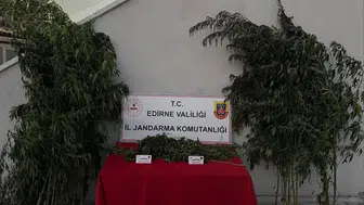 Edirne'de hint keneviri eken şahıs tutuklandı