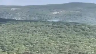 Balıkesir’de orman yangını çıktı: Ekipler seferber oldu