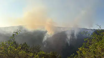 Kastamonu'da orman yangını kontrol altına alındı