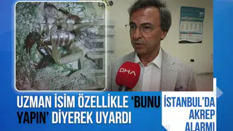 Ayakkabınızı giymeden önce mutlaka bakın! Uzmandan İstanbul için akrep uyarısı