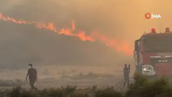 Hatay’da orman yangını! Yerleşim yerlerine yakın noktada çıktı
