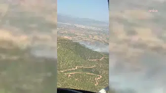 İzmir'de orman yangını: Müdahale sürüyor