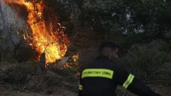 Yunanistan'da alarm! Birçok noktada peş peşe orman yangınları çıktı
