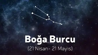 13 Eylül Boğa burcu yorumu: Pazar günü Aşk ve para hayatında neler bekliyor?