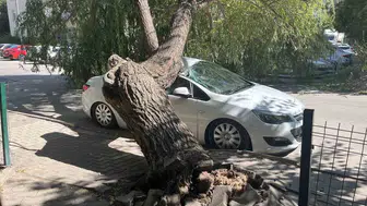 Niğde'de faciaya ramak kala: Sğaç otomobilin üzerine devrildi
