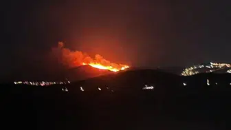 Bodrum'da maki ve otluk alanda yangın: Söndürme çalışmaları sürüyor