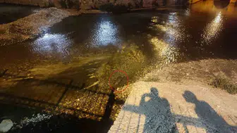 Nesli tehlike altındaki su samuru görüntülendi