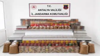 Manavgat’ta kaçak tütün operasyonu: 30 bin dolu makaron ve 274 nargile tütünü ele geçirildi