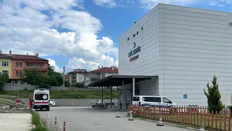 Dağda ağaç keserken arı soktu: 65 yaşındaki adam yaşamını yitirdi