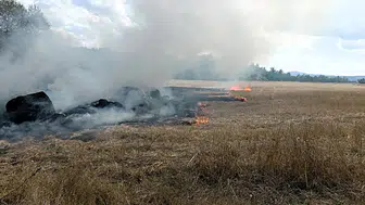 Karabük'de anız yangını: İtfaiye ve orman ekipleri müdahale etti