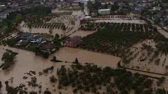 Sakarya’da tavuk kümesini su bastı: Çok sayıda tavuk telef oldu