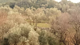 Tarlada fenalaşan yaşlı adam yaşamını yitirdi