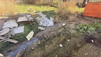 Sakarya’da tavuk çiftliğinde ihlal tespit edildi: Çiftliğe ceza ve kısıtlama