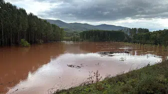 Bartın'da dere aştı: Tarım arazileri su altında